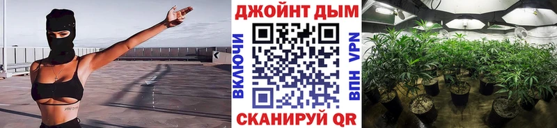 Галлюциногенные грибы Электросталь