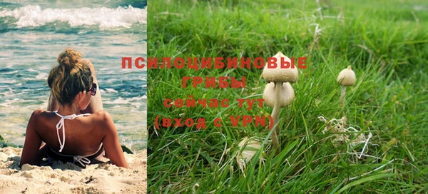 индика Краснотурьинск