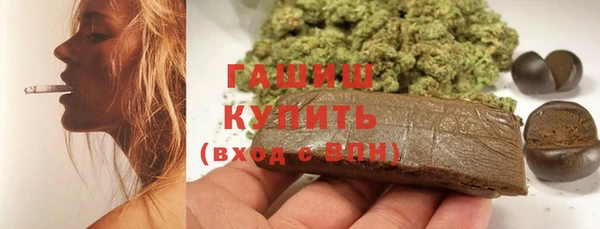 индика Краснотурьинск