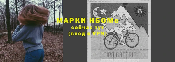 индика Краснотурьинск