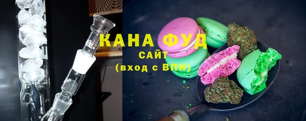 индика Краснотурьинск