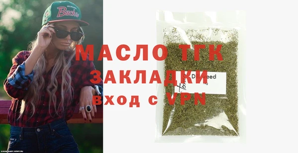 индика Краснотурьинск