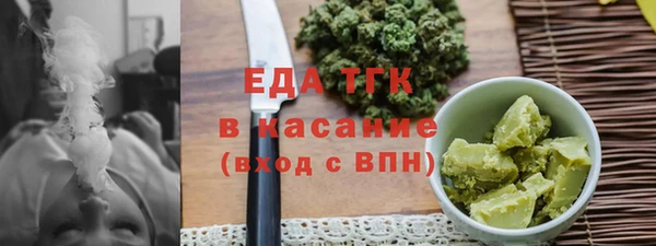 индика Краснотурьинск