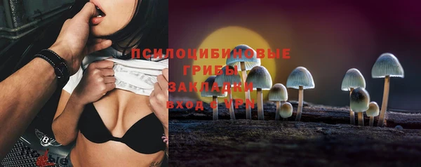индика Краснотурьинск