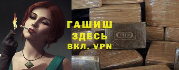 индика Краснотурьинск