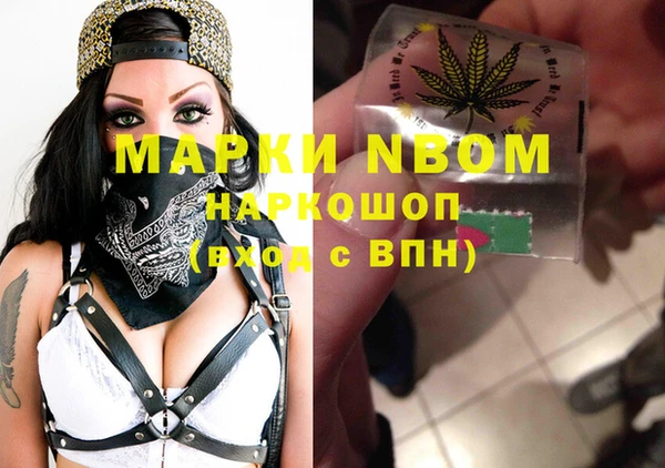 индика Краснотурьинск