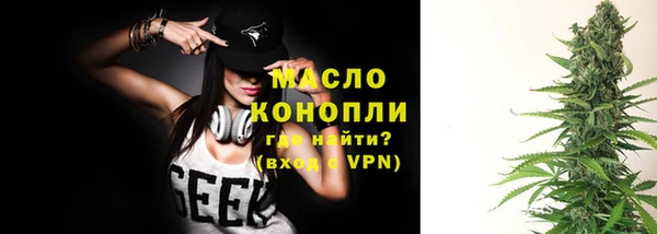 дмт Краснослободск