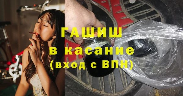 индика Краснотурьинск