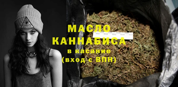 индика Краснотурьинск