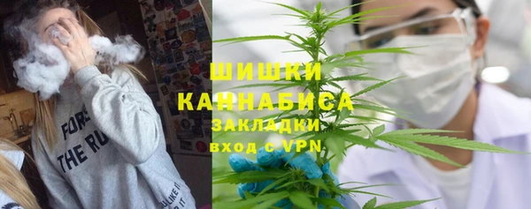 дмт Краснослободск