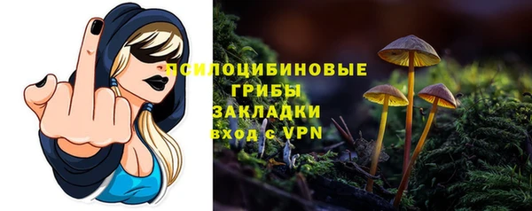 дмт Краснослободск