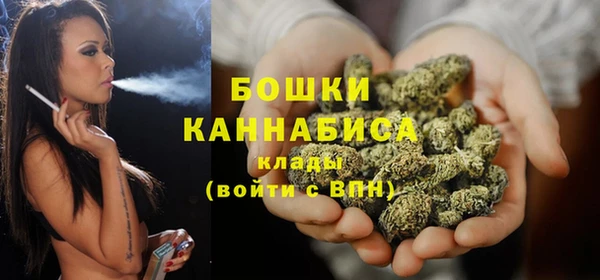 дмт Краснослободск