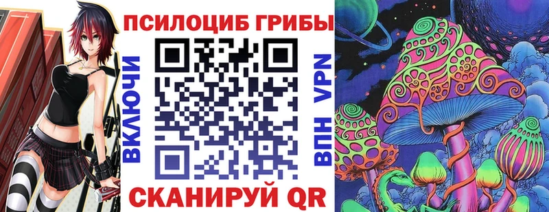 Галлюциногенные грибы Psilocybe  Электросталь 